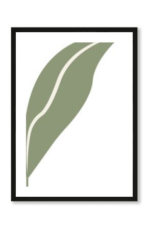 Abstract olive leaf floating diagonally in flat style, showing cream stripe, transparent background