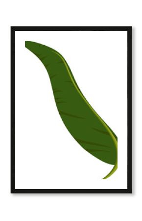 Tropical leaf is being shown in flat design, with glossy green frond on transparent background