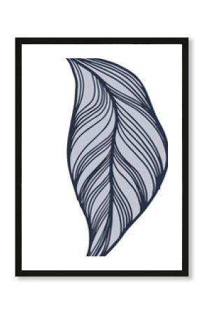 Stylized leaf shape is showing bold outline and curved veins in flat design, transparent background