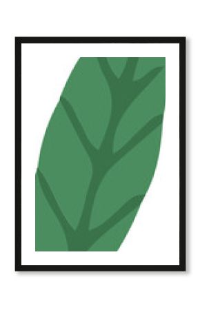 Displaying flat green leaf featuring darker central vein, branching veins, transparent background