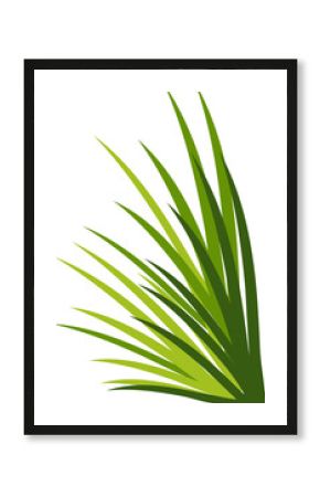 Green palm leaf cluster is radiating layered fronds on transparent background in flat vector style