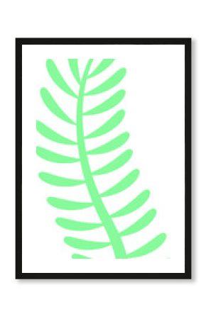 Stylized mint green fern frond is floating in flat illustration, transparent background