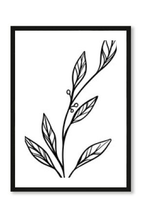 Showing stylized plant branch in minimal sketch style with leaf venation on transparent background