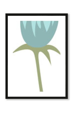 Flat flower bud showing aqua petals shaded yellow tip on olive stem-calyx on transparent background