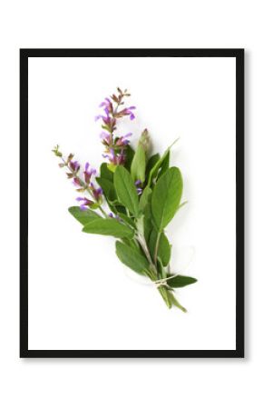 Bunch of flowering sage, tied with kitchen string.