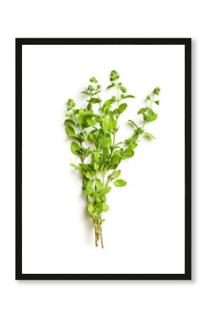 sprig of marjoram