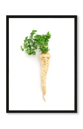 parsley root