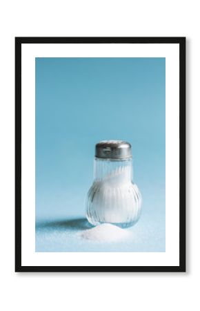 Salt Shaker