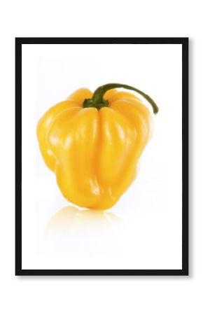 Gelbe scharfe Chilischoten (Scotch Bonnet)