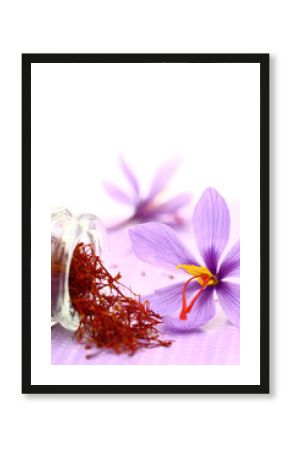 Close up of saffron flower and dried saffron spice