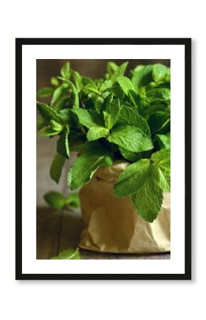 Bunch of the mint in a paper packet.