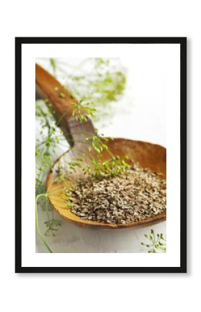 Fennel seeds in big wooden spoon and fresh flowers of dill