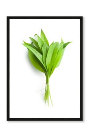 Fresh ramsons leaves.