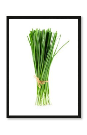 Garlic chives isolated on white background