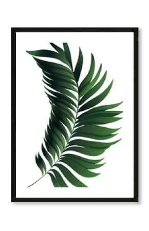 Tropical palm leaf frond is being shown in 3D style with gradient shading on transparent background