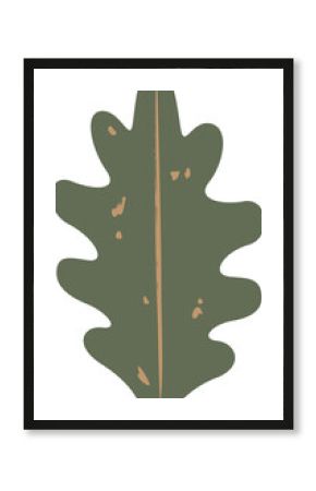 Flat oak leaf art is showing lobed shape with beige vein and speckled spots, transparent background