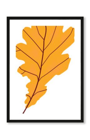 Flat design oak leaf is floating on transparent background, showing orange yellow gradient veins