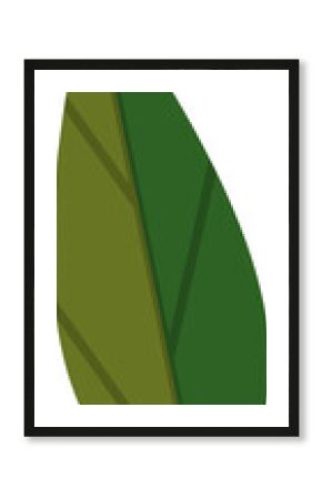 Flat vector leaf is showcasing two-tone olive and forest green with veins, transparent background