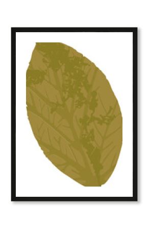 Flat design leaf is showcasing mustard yellow with veins and seed cluster on transparent background