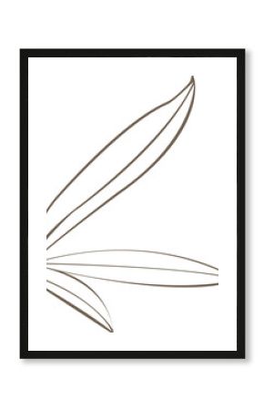 Brown leaf outlines are fanning in flat style on transparent background, abstract motif, copy space