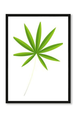 Flat design stylized green leaf is radiating pointed leaflets on transparent background, copy space