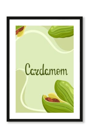 Poster with cardamom. Spices. Vector illustration. 