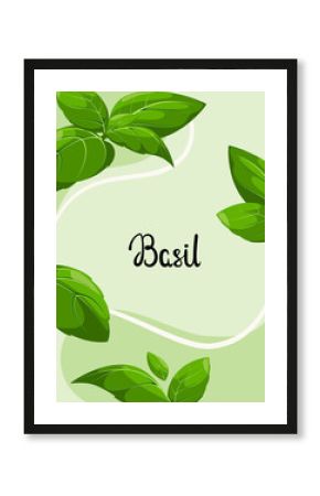 Poster with green basil. Herbs.