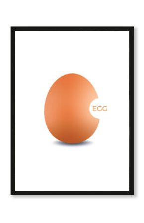 chicken eggs on white background. vector chicken eggs and lettering