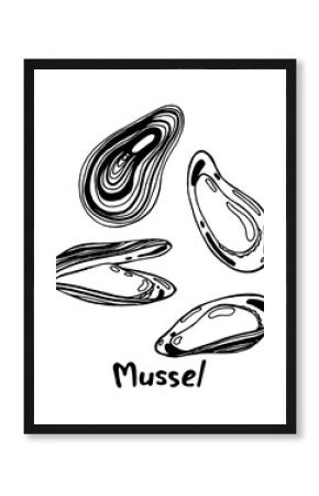 Open and closed mussel's shells with meat. Hand drawn isolated illustration set with the inscription on a white background