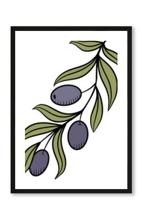 Olive branch, vector shape