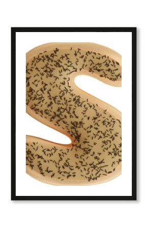 3D Render Realistic Letter S Of Alphabet Glazed Doughnut With Chocolate Sprinkles 