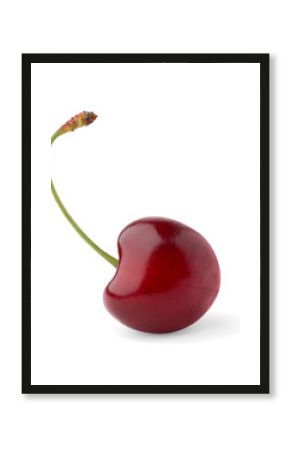 Isolated cherry. One sweet cherry isolated on white background