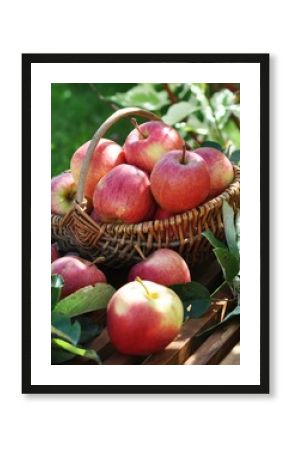 Herbst