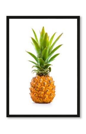 Ananas Baby