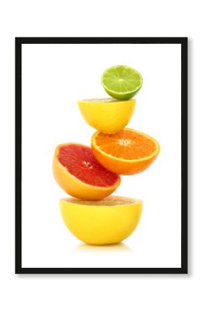 Fresh citrus fruit in a row on white background