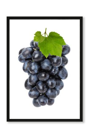 juicy grapes isolated on the white background