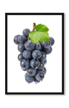 purple grape isolated on the white background