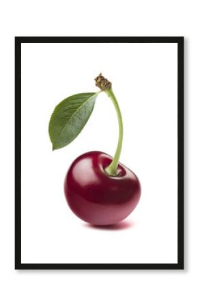 Single wild cherry isolated on white background
