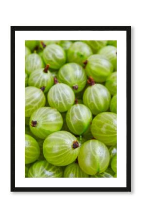 Fresh gooseberry background