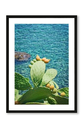Prickly pears (Indian fig opuntia) on blue Mediterranean sea
