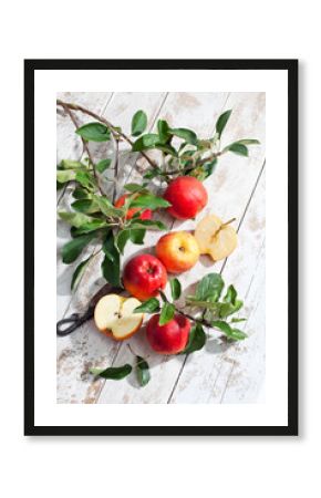 Rote Äpfel,Ecolette, Zweig, Blatt, Blätter, heller Holzuntergr