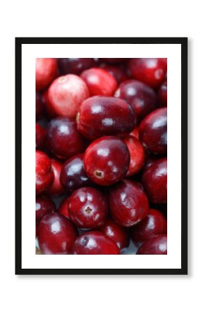 red cranberry fruit