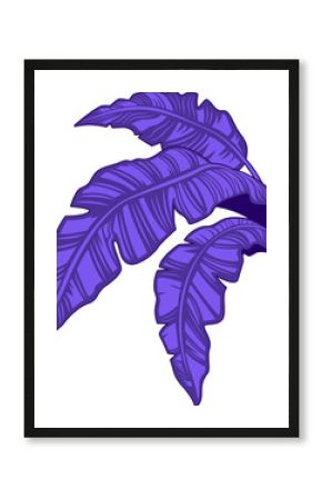 Cluster of purple stylized banana leaves is forming flat design on transparent background