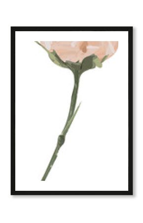 Peach bloom is floating in flat with layered petals, green stem and leaves, transparent background