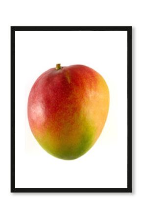 mangue 2