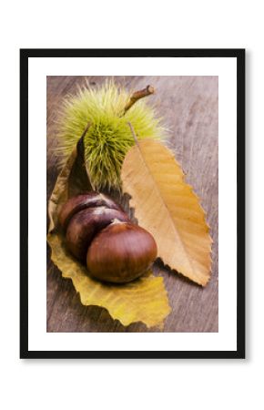 castagne con riccio