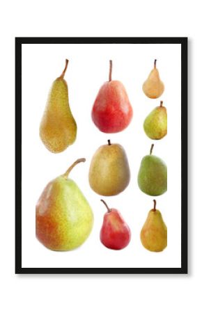 variétés de poires