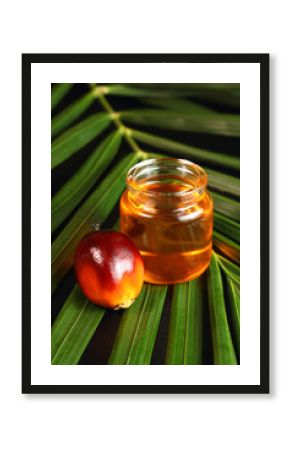 Oil palm fruit and cooking oil