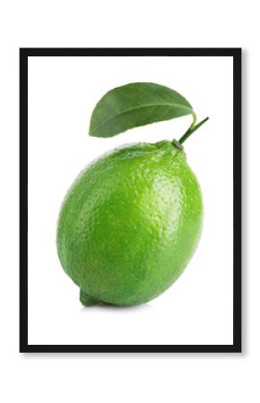 Lime. Whole lime with leaf isolated on a white background.