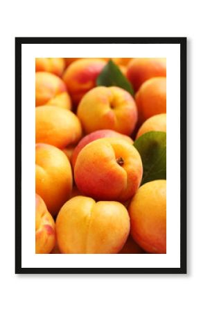 Ripe apricots fruit background